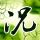 一比一原版桑德兰城市学院文凭学位【degxx.com】