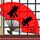 原版洛拉斯学院文凭学位【degxx.com】