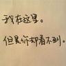 何赛飞悬肘写毛笔字签名
